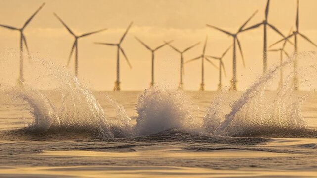 Surfacing large whale raising fluke and slapping sea at offshore wind farm, sending golden spray