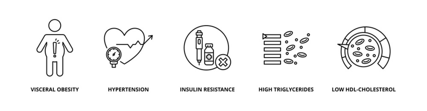 Metabolic Syndrome icon set with visceral obesity, hypertension, insulin resistance, high triglycerides, and low hdl-cholesterol