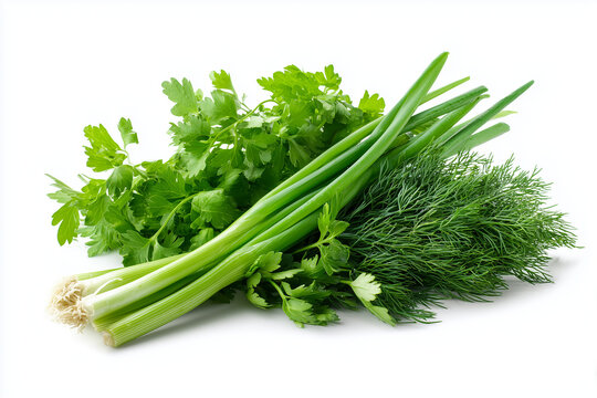 Fresh bunch of green parsley and dill isolated on white background