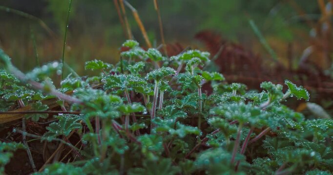 Cinematic aerial of mountain lake in east java indonesia
