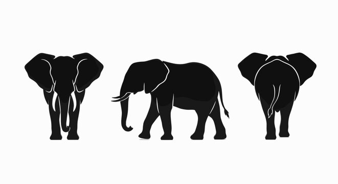Professional collection of black elephant silhouettes in front, side, and back views isolated on white background for wildlife and conservation concepts.