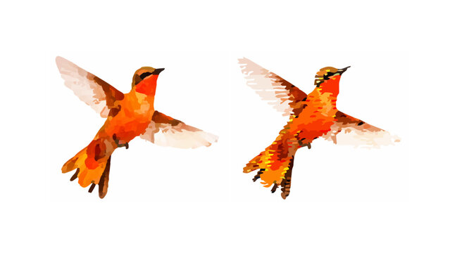 goldfish jumping out of water