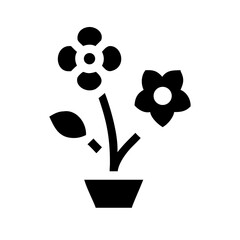 Fototapeta premium flower in a flowerpot