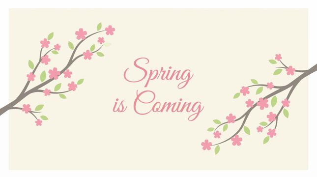 Pastel spring banner with blooming pink cherry blossoms and the message 'Spring is Coming' for cards, invitations, and seasonal design.