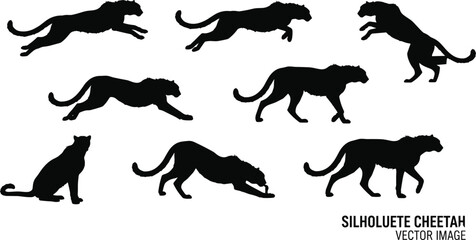 Naklejka premium Cheetah, silhouettes, animal, running, jumping, poses, wildlife, predator, speed, motion, safari, nature, feline, black, isolated, vector, illustration, set, dynamic, action