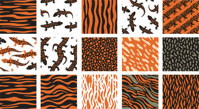 Tiger pattern vector illustration set with animal skin textures, stripes and wild feline seamless prints collection isolated on white background.