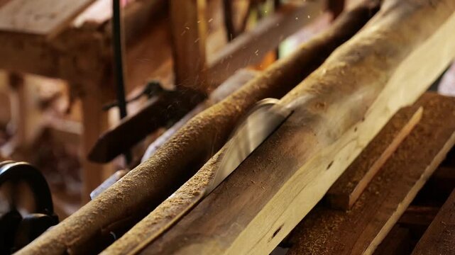 Bandsaw blade cutting fresh timber log at traditional sawmill workshop