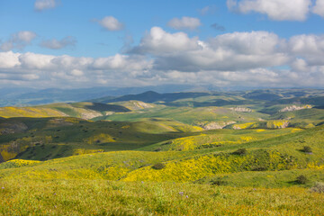 Naklejka premium Carrizo