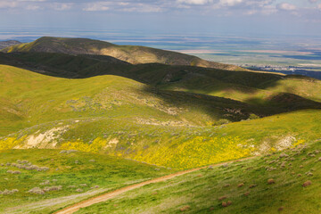 Naklejka premium Carrizo