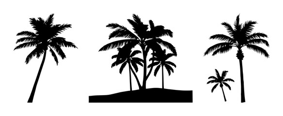 Fototapeta premium Palm tree tropical silhouette set with simple line art design featuring outline, illustration, graphic elements with clean design and vector art