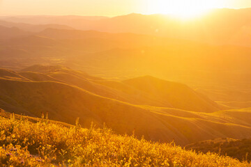 Naklejka premium Green hills