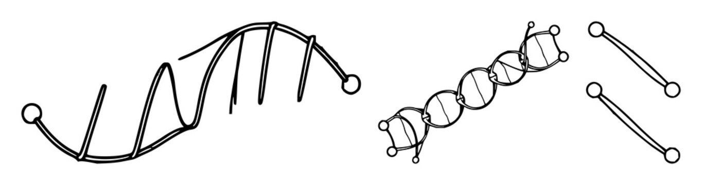 Fine line art of a single carbon nanotube structure, nanotechnology science theme, clean geometric lines, white background. set with simple line art design featuring line art, illustrations, graphi...