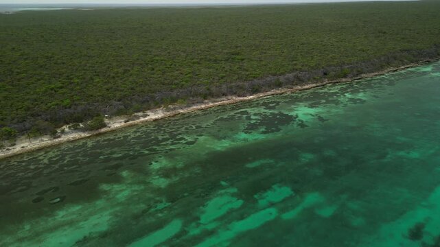 Drone panorama presenting Beata Island as a rare, undeveloped destination in the Dominican Republic south coast. Ideal for tourism branding and exploration content.