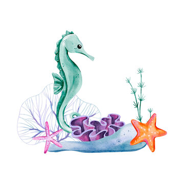 Watercolor Scene Featuring Seahorse with Purple Coral, Starfish, Fan Coral, and Blue Rock in a Cute Ocean Composition