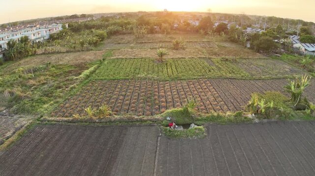 At sunset in rural Philippines, a farmer and his wife manually water their fields from a small lake stream. This heartfelt scene captures traditional farming, resilience, and simple living