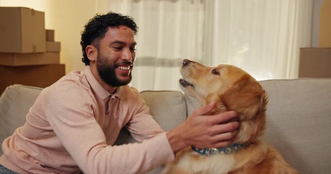 Happy, man and playing with dog in new home for property purchase, mortgage success or security. Homeowner, person or excited with animal on sofa for pet friendly apartment, relocation or achievement