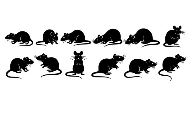 Minimal rat and mouse silhouette icon set simple rodent shapes vector isolated on white background