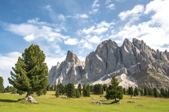 Mountain meadow near Gschnagenhardt Alm, in the back Geislerspitzen, Villn&ouml;sstal, Sass Rigais, Dolomites, South Tyrol, Italy