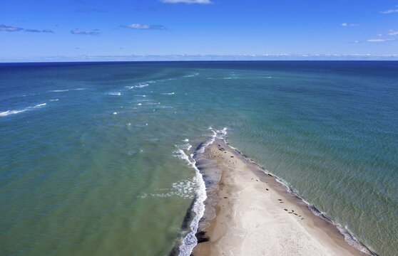 Aerial view, seals on the beach, Grenen, the northernmost point of Denmark, left North Sea, right Baltic Sea, Jutland, Denmark, Europe