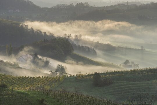 Fog and farmhouses in the first morning light, Ratsch an der Weinstra&szlig;e, Styria, Austria