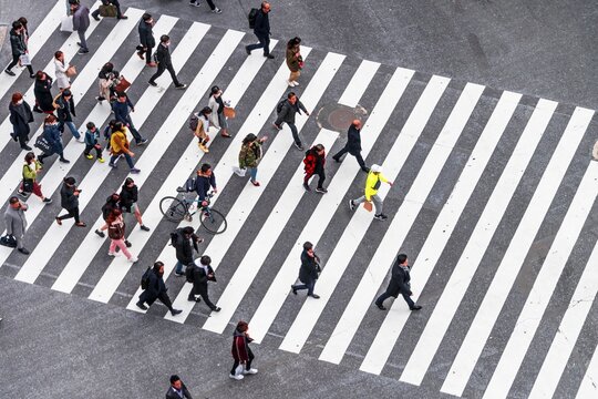 Shibuya crossing, crowds at intersection, many pedestrians and cyclists cross zebra crossing, Shibuya, Udagawacho, Tokyo, Japan
