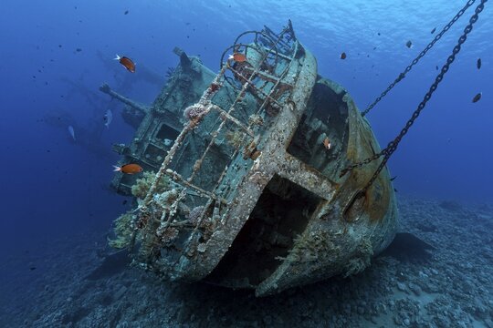 Cedar Pride, Stern, Wreck, Shipwreck, Red Sea, Aqaba, Jordan