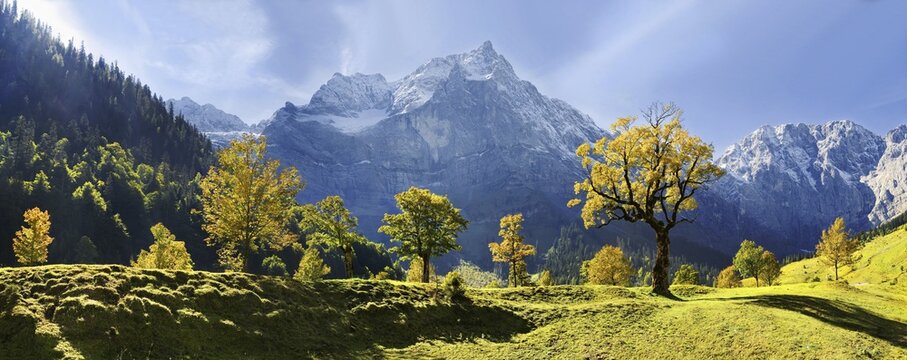 Autumnal mountain panorama, glowing maple trees, snow-covered mountains, Grosser Ahornboden, Karwendel, Austria, Europe