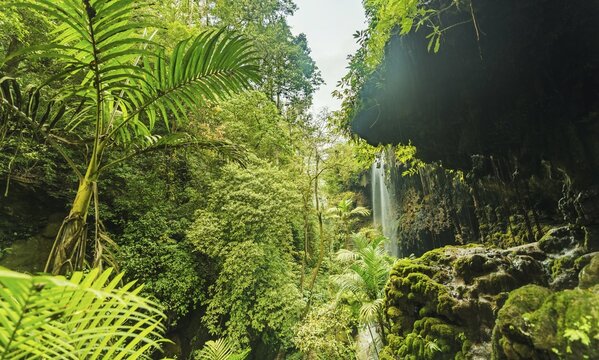 Waterfall in canyon, jungle, Kalianyar, Sempol, Eastern Java, Indonesia