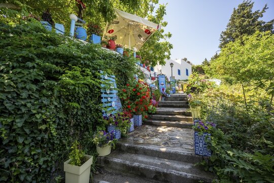 Flower-lined path, alley in the village of Zia, Kos, Dodecanese, Greece