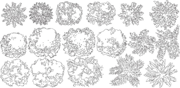 sophisticated library of abstract plant and tree plan symbols. These line-art illustrations focus on artistic silhouettes and organic textures, providing unique visual character for high-end landscape