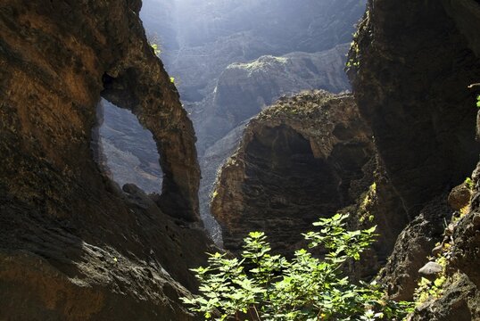 Barranco de Masca gorge, Tenerife, Canary Islands, Spain, Europe