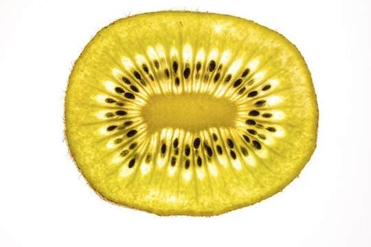 Slice of a kiwi, fruit, white background, food photography