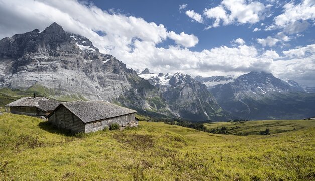 Mountain huts, alpine pasture, Pfingstegg, left Eiger north face and Jungfraujoch, Jungfrau region, Grindelwald, Bern, Switzerland