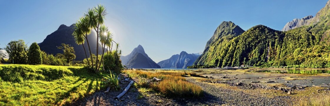 Panorama of Milford Sound, Mitre Peak, palm trees at low tide, Fiordland National Park, Te Anau, South Island, New Zealand