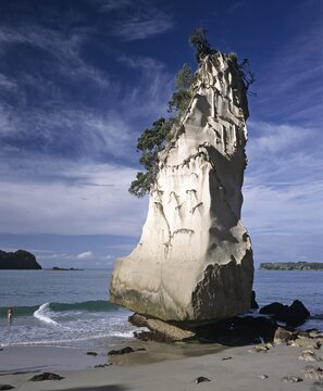 Chalk cliff, Cathedral Cove, Coromandel Peninsula, North Island, New Zealand, Oceania