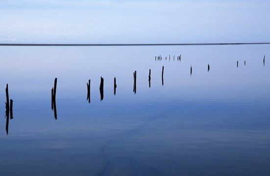 Number of poles sticking out from the water, South Iceland, Europe