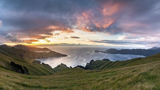View of meadows and rocky coast at sunset, French Pass, Marlborough region, Marlborough Sounds, Picton, South Island, New Zealand