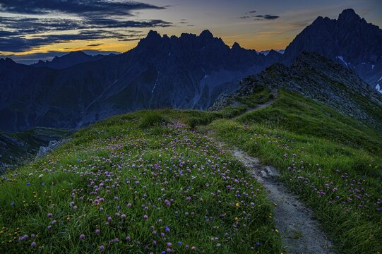 Mountain path with flower meadow at sunrise in mountain landscape, Gramais, Lechtal, Au&szlig;erfern, Tyrol, Austria