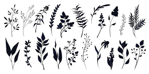 Fototapeta premium A collection of various botanical silhouettes showcasing different leaf and plant branch shapes