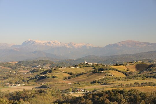 View over vineyards to the north, Julian Alps in the back, Cormons, Friuli, Italy, Europe