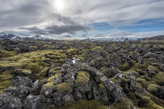 Moss-covered lava field, lava rock, lava field of the volcano Kothraunskula, Snaefellsnes Peninsula, West Iceland, Iceland