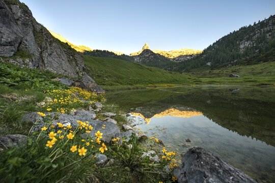 Schottmalhorn reflected in lake Funtensee at sunset, Steinernes Meer, Berchtesgaden National Park, Bavaria, Germany