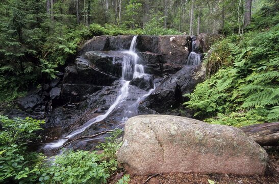 Skuleskogen National Park, Sweden, Europe