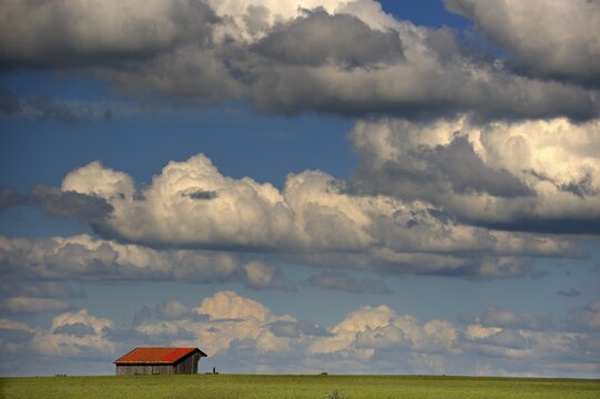 Hut with a blue, cloudy sky, Mindelheim, Unterallgaeu, Bavaria, Germany, Europe