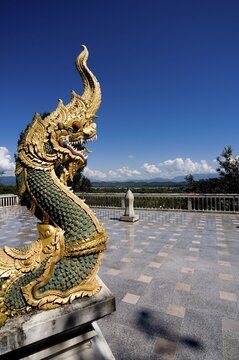 Naga snake, Mae Salong, Thailand, Southeast Asia, Asia