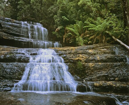 Lady Barron Falls in the Mt Field National Park, Tasmania, Australia