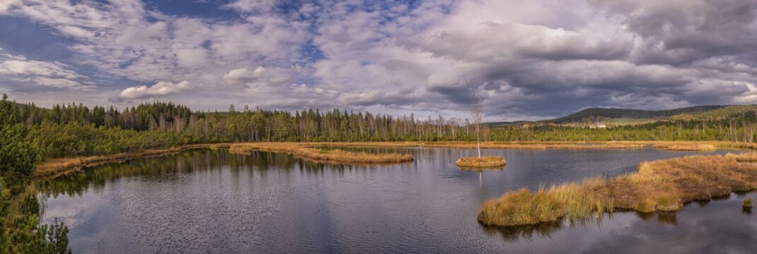 Chalupska slat bog, Great King's Felt with bog lake, Sumava National Park, &Scaron;umava, Czech Republic