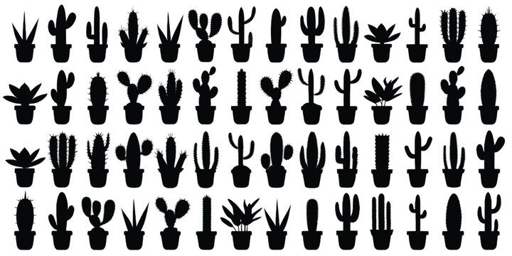 A collection of various potted cactus silhouettes arranged in a grid pattern on a white background