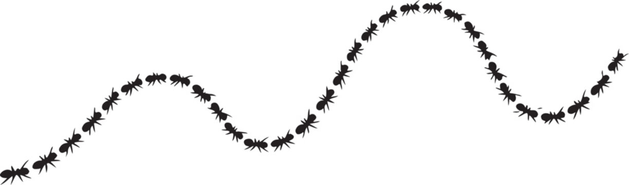  Black print track shows ants walking in a wavy curved line silhouette vector