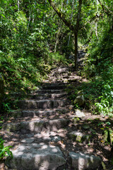 Fototapeta premium Machu Picchu, pathway to peruvian incan town, unesco world heritage site, sacred valley, Cusco region, Peru